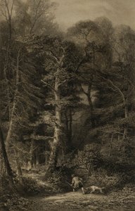 Interieur de Forêt - Karl Bodmer