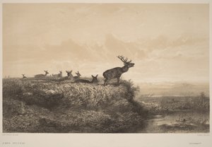 Le Matin - Karl Bodmer