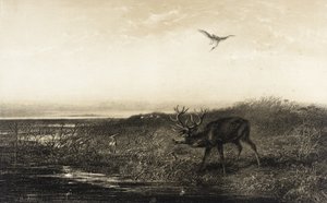  - Karl Bodmer