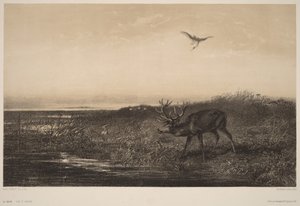  - Karl Bodmer