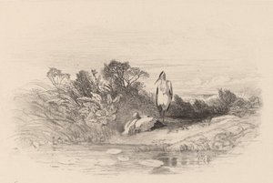 Les Deux Hérons