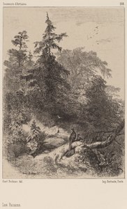 Les Faisans - Karl Bodmer
