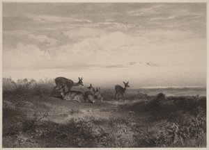  - Karl Bodmer