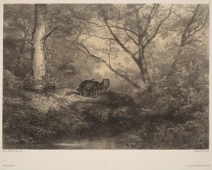  - Karl Bodmer