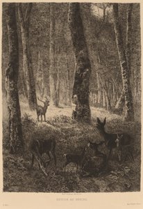 Retour au bercail - Karl Bodmer