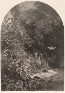 Un coin de jardin