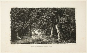 Chemin forestier avec une calèche