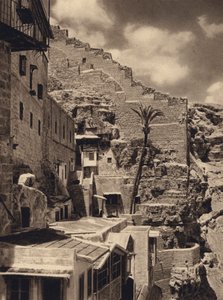 Mar Saba, Palmier de Saint Sabas - Karl Grober