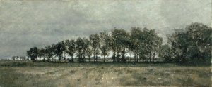 Au bord du bois
