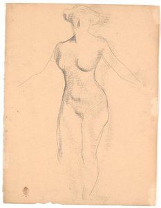 Modèle féminin nu debout vu d