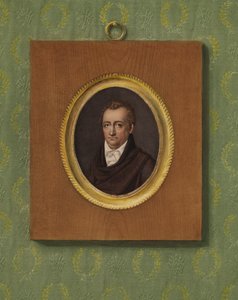 Portrait de Johann Wolfgang Goethe - Karl Josef Raabe