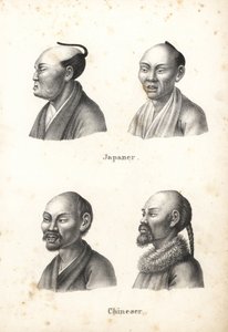 Busts d