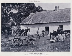 Cour de ferme irlandaise
