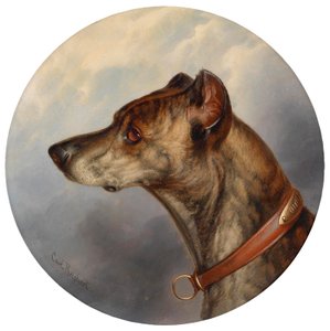 Portrait de chien