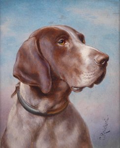 Portrait de chien