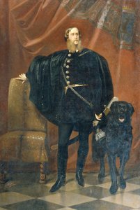 János Comte Pálffy ab Erdőd (1829–1908)