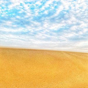 Plage surréaliste du désert II