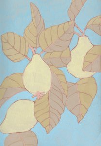  - Katie O'Shea
