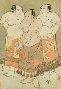 Portraits en Pied des Lutteurs Nishikigi, Todagawa et Iwagaseki se Présentant dans le Ring