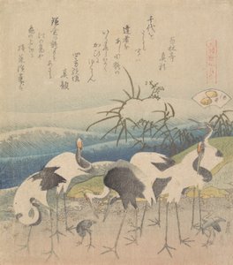Palourde Ashi, de la série Genroku Kasen Kai-awase, 1821 - Katsushika Hokusai