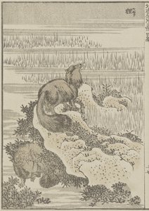 Blaireau, c. 1840