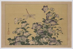 Campanule et libellule (estampe sur bois en couleur)