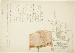 Cage à oiseaux et prunier en pot