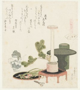 Coquillage de fleur
