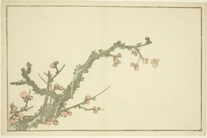 Prunier en fleurs, du Livre d