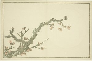 Prunier en fleurs, du Livre d