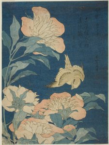 Canari et pivoine (Kanaari, shakuyaku), d