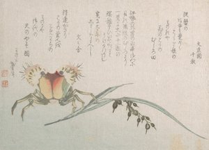 Crabe et plante de riz, 19e siècle