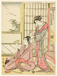 Oies descendantes pour Bunshichi (Bunshichi no rakugan), de la série "Huit vues des élégants galants (Furyu otokodate hakkei)" - Katsushika Hokusai