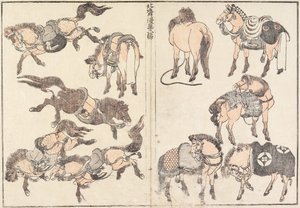 Chevaux