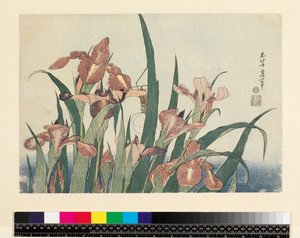 Iris et sauterelle, publié par Nishimura Eijudo, vers 1832 (yoko-e - format horizontal, estampe sur bois en couleur)