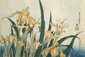 Iris avec une sauterelle, pub.1830
