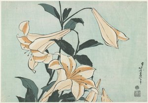 Lys, vers 1832 - Katsushika Hokusai