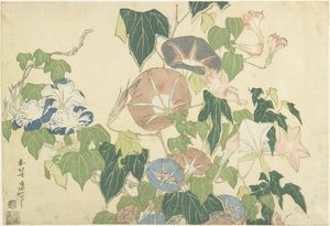 Gloires du matin et grenouille arboricole, de la série sans titre connue sous le nom de Grandes Fleurs, c.1833-34 - Katsushika Hokusai