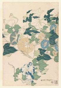 Gloires du matin en fleurs et en bourgeons, c.1830