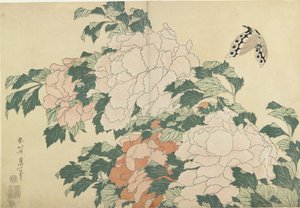 Pivoines et papillon, c. 1830-1831