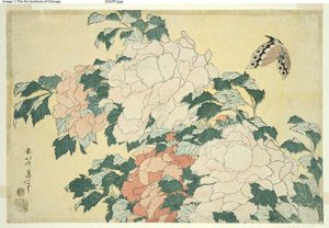 Pivoines et papillon, d