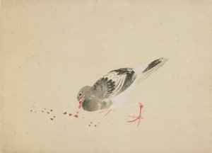 Pigeon, fin du XVIIIe-début du XIXe siècle - Katsushika Hokusai