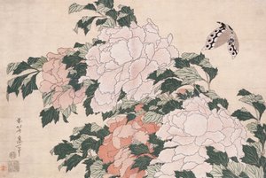 Pivoines roses et rouges soufflées à gauche dans une brise et un papillon