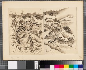 Scènes de la guerre entre le Japon et la Corée, fin du XVIIIe-première moitié du XIXe siècle