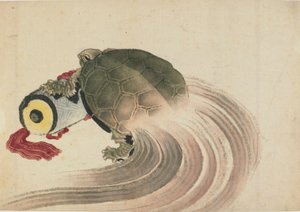 Tortue reposant sur un parchemin, fin 18e-début 19e siècle