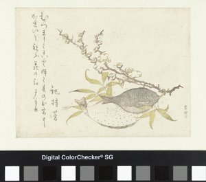 Deux plies et une prune - Katsushika Hokusai
