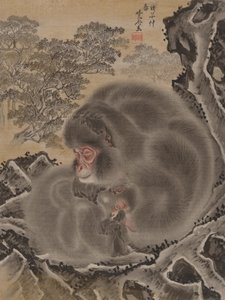 Singes, mars 1888