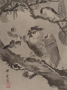 Chouette moquée par de petits oiseaux, vers 1887