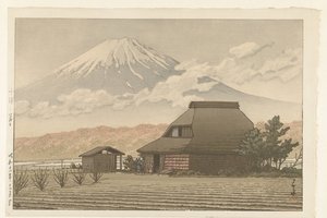 Le mont Fuji depuis le village de Narusawa