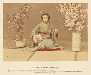 Geisha jouant du Samisen
